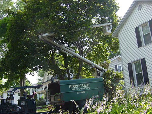 Cross-training employees among departments gives Birchcrest Tree & Landscape options.