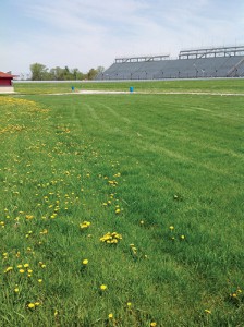 A look at untreated turf vs. turf treated with Dow Defendor specialty herbicide. PHOTO: Dow AgroSciences