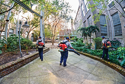 Mullin Landscape Associates adds new services, such as maintenance, based on customer demand.