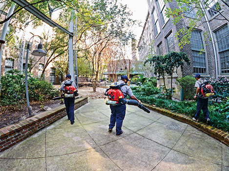 Photos: Mullin Landscape Associates