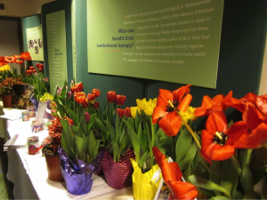 NJNLA donated these plants and shrubs to a display that ran in the New Jersey Statehouse during Horticultural Therapy Week. Photo: NJNLA