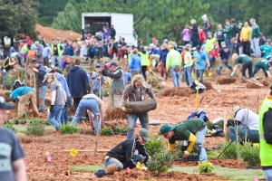 Students get down and dirty in the team competitions at 2015 PLANET Student Career Days. Photo: Philippe Nobile Photography