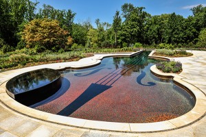 Photo: Cipriano Custom Pools & Landscaping