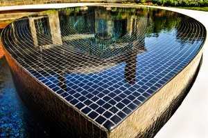 Photo: Cipriano Custom Pools & Landscaping