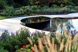 Photo: Cipriano Custom Pools & Landscaping