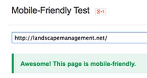 Mobile-FriendlyTest2