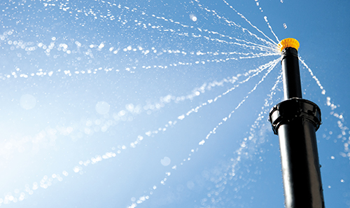 Nozzle-spray-lookingup_rt Photo: Rain Bird