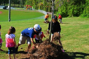 Small volunteers help renovate the XXX as part of Project EverGreen's 'Healthy Turf. Healthy Kids.' initiative. Photo: Project EverGreen