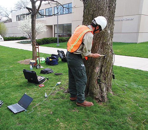 Another device in Bartlett’s toolbox is sonic tomography, which it uses to see if tree trunks are rotten or hollow.