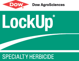 Dow_LockUp_USA