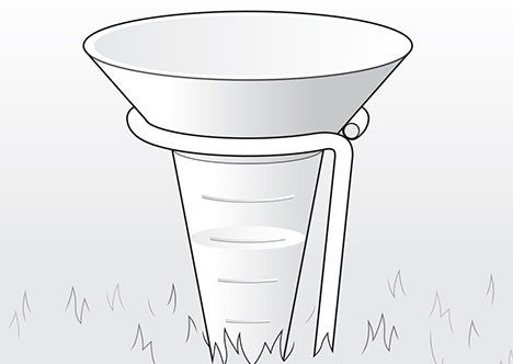 Illustrations: David Preiss