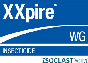 Dow_XXpire-WG