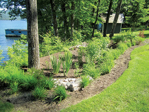 A DeFranco Landscaping rain garden overlooking Lake George. Photos: DeFranco Landscaping
