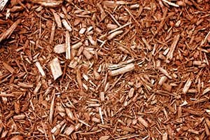 Mulch Image: PublicDomainPictures.net / Lilla Frerichs