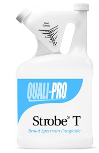 quali-pro_strobeT