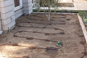 In the wake of drought and increased landscape irrigation scrutiny,
contractors look to drip irrigation to get water to the right place.