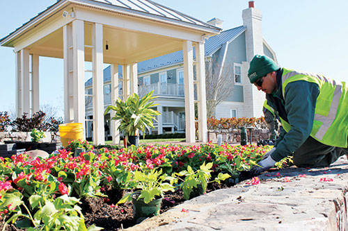 Photos: Ruppert Landscape, Spring Meadow Nursery