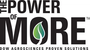 power_of_more