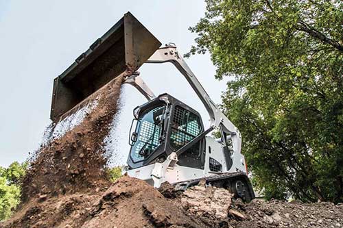 photo: Bobcat