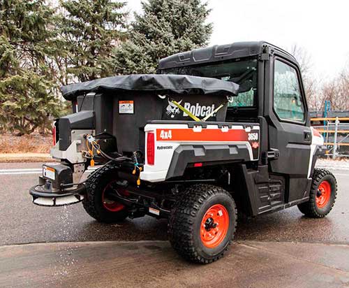 photo: Bobcat