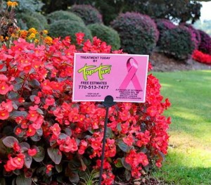 Pink-signs-2