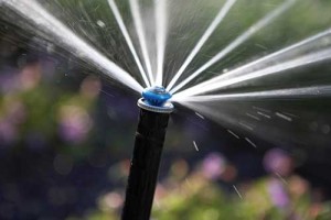 Nozzles types are just one thing making sprayheads more efficient, professionals say.
