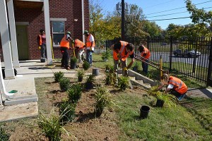 Volunteers added a flower bed and planted trees in front of the DePaul apartment complex in Louisville, Ky.