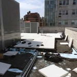 photo: Association of Landscape Professionals
