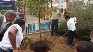 treeplant_usfs