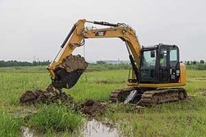 Cat_excavator_C10591902