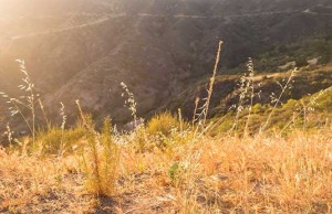 iS46636828_california-drought
