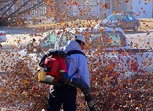 landscaper_leaves