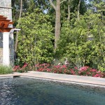 The Sweetbay Magnolia trees serve as a second layer of screening plants. As the landscape matures this privacy screen will blend into its surroundings.
