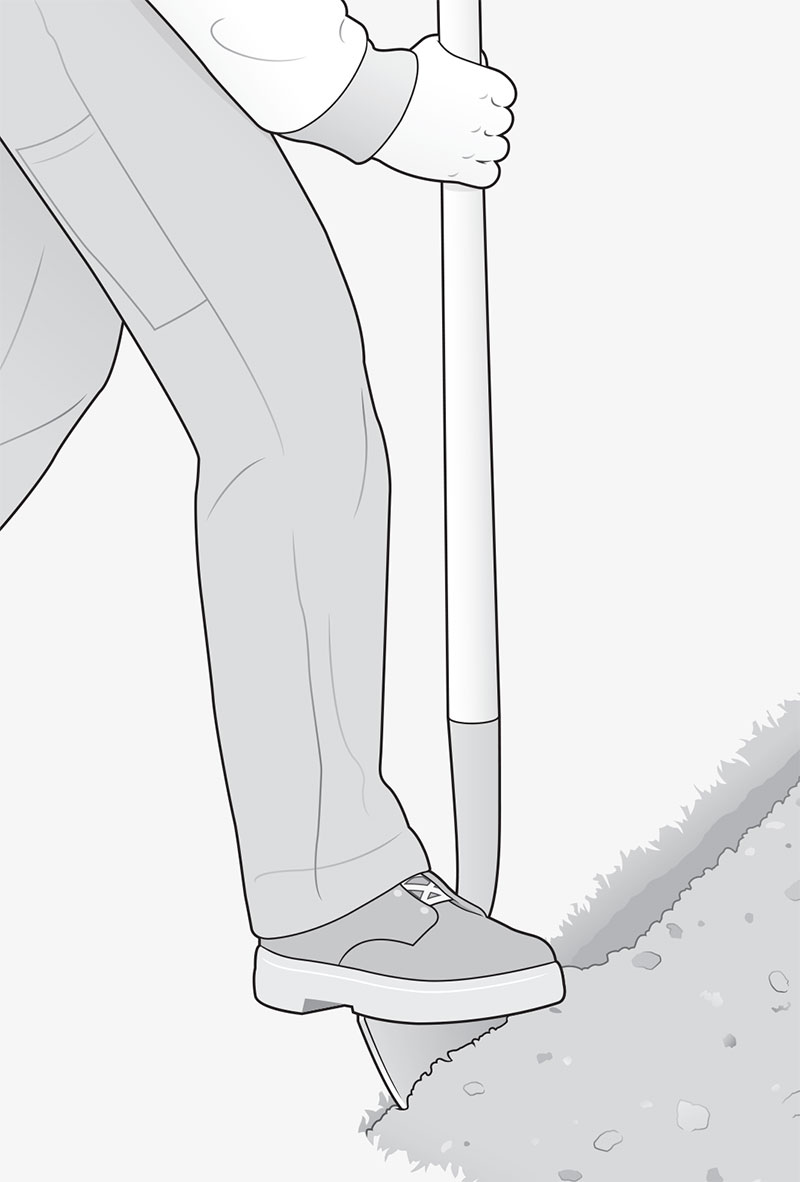 Illustration: David Preiss