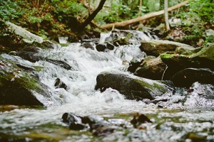 stream-river-sonja-langford
