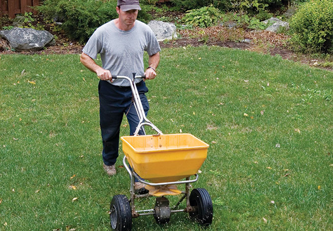 LCOs determine their insecticide choice based on target pests and other factors.