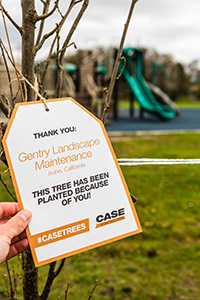 CASETrees1 Photo: Case Construction