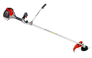 DS-3000-T-2.0 Photo: Efco