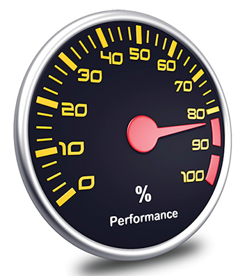 iS18627043performance Image: ©istock.com/hh5800/bluebird13