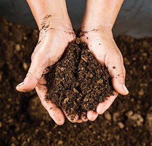 iS74908053hands-dirt Photo: ©istock.com/tortoon