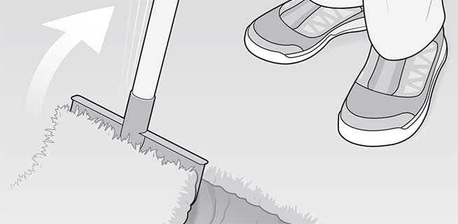 illustrations: David Preiss