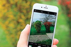 iS_90737969_iPhone
