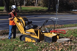 RM27 Stump Cutter_big