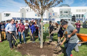 Representatives from Davey Tree, the Cavs, PwC, Great Lakes Science Center, Western Reserve Land Conservancy and Holden Forests and Gardens plant the inaugural tree during the initial planting Wednesday, Oct. 19, outside the science center.
