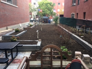 Project EverGreen volunteers help transform a vacant lot in East Harlem, NY into a sustainable green space and vegetable garden.