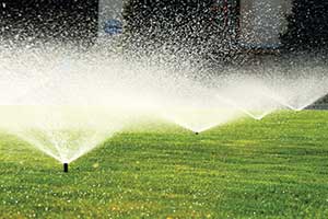 is512183881sprinklers-small