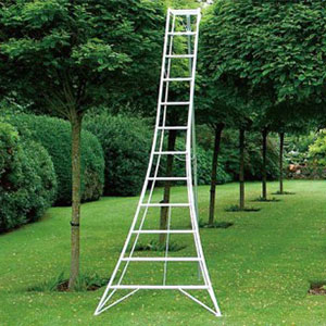 tripod_tree11_300x300