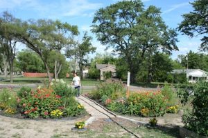 Our Winning Green Space winner
