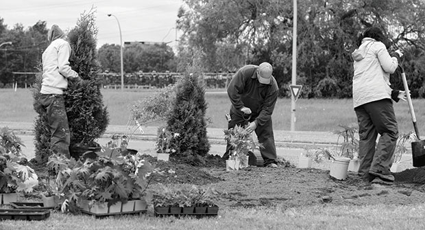 Landscape workers. Photo: ©istock.com/WoodenDinosaur