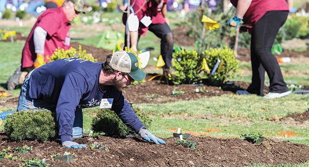 Photo provided by: The National Association of Landscape Professionals
